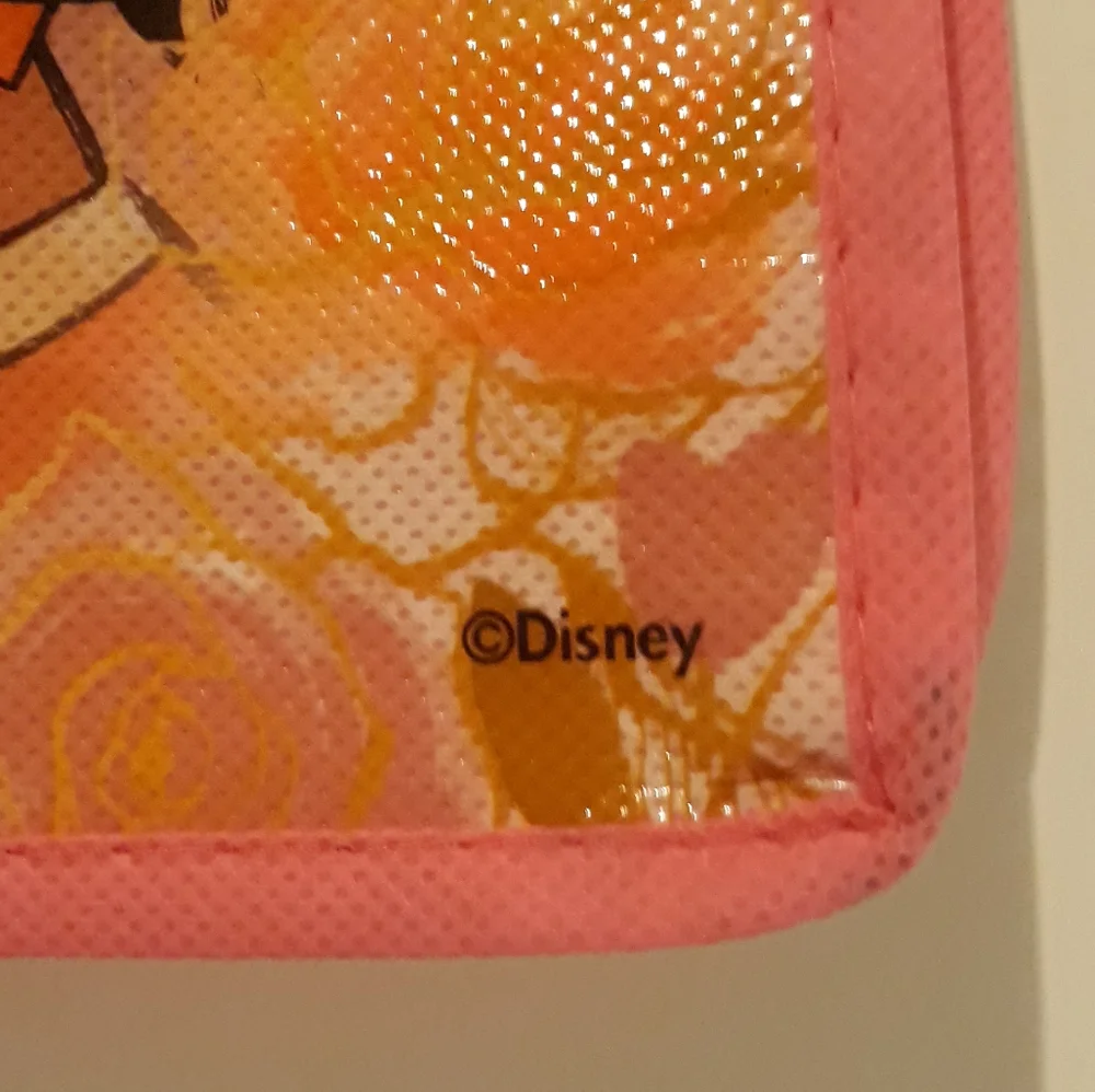 (New) Disney Princess Tote